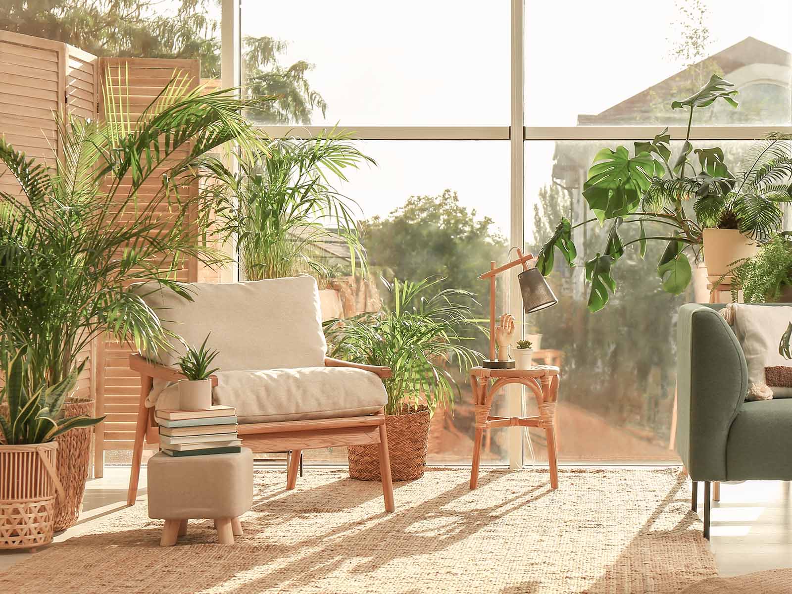 Bring Your Indoor Jungle Home